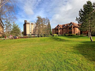 Picture 7